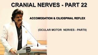 CRANIAL NERVES  PART 22 ACCOMODATION amp CILIOSPINAL REFLEX OCULAR MOTOR NERVES  PART 8 [upl. by Frame]