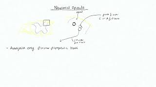 Neuraxial Anatomy and Physiology 4  Neuraxial Opioids [upl. by Chenee]