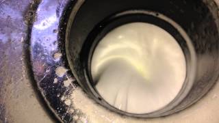 How To Clean A Garbage Disposal Quick And Easy [upl. by Winter]