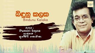 Bindunu Kalaka  Punsiri Soysa  sinhala songs  Sri Music [upl. by Eissahc365]