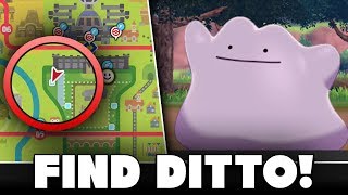 Where To Find Ditto In Pokemon Sword And Shield [upl. by Aidnis]