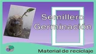 Germinador paso a pasoProyecto Escolar¿Como hacer un germinadorExplicación para niños [upl. by Hui]