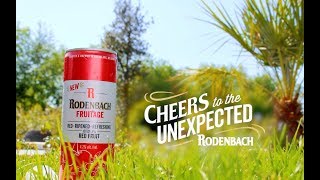 Rodenbach Reclamespot Rodenbach Fruitage [upl. by Hayila]