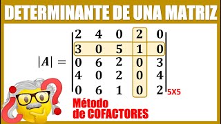 Determinante de una matriz 5X5 por COFACTORES [upl. by Onaivatco940]