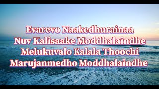 Evarevaro Lyrics  Animal  Telugu Song  Evarevaro Audio [upl. by Eilasor814]