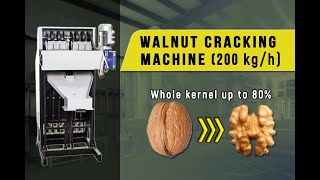 Walnuts cracking machine Walnuts processing [upl. by Aehtela79]