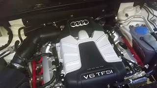 Audi S4 B85 STronic cold start camchain tensioner noise [upl. by Esirtal]