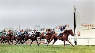 1983 VRC Melbourne Cup  Kiwi [upl. by Folger]