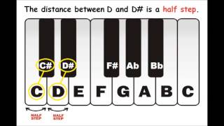 Piano Lessons  Half Steps or Semitones  Sharp and Flat Notes [upl. by Sanjay]