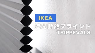 【暑さ寒さ対策に】IKEAの遮光ハニカムブラインドがシンプルで使いやすい【レビュー】 [upl. by Akeihsat697]