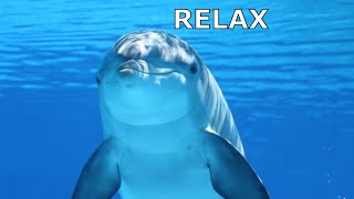 Deep Healing Music Underwater Relaxation Music Instant Relief from Stress and Anxiety Calm Nature [upl. by Ibbison773]