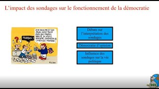 Limpact des sondages sur le fonctionnement de la démocratie [upl. by Anahsed957]