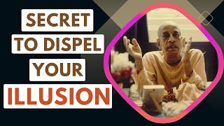 Secret To Dispel Your Illusion   Srila Prabhupada Short Lectures Bhagavatam prabhupadavani [upl. by Cornela]