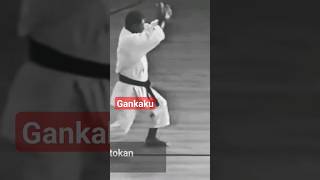 Gankaku kata Hiroshi Shirai karate martialarts [upl. by Jenness]