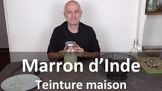 Marronnier dInde [upl. by Gem]