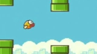 Flappy Bird Gameplay [upl. by Rahsab]