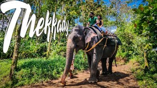 Thekkady  Elephant Ride  Periyar Tiger Reserve [upl. by Orag]