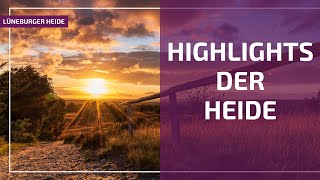 Highlights der Lüneburger Heide Totengrund und Wilseder Berg [upl. by Jamaal]