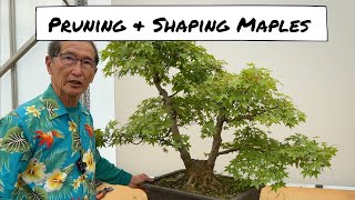 How to Shape Maples [upl. by Davidde]