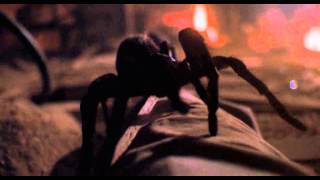 Arachnophobia Animatronic Spider [upl. by Maurice]