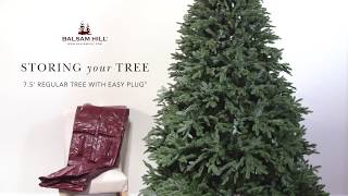 How to Store an Easy Plug Christmas Tree from Balsam Hill [upl. by Lilithe]