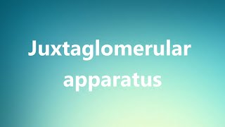 Juxtaglomerular apparatus  Medical Meaning and Pronunciation [upl. by Ahsilav]