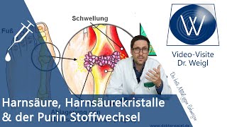 Was ist unsere Harnsäure Purinstoffwechsel Aufgaben amp Ursachen für einen erhöhten Harnsäurespiegel [upl. by Selmner]