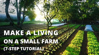 How to Start a Farm From Scratch Beginners Guide to Growing Vegetables for Profit [upl. by Malarkey]