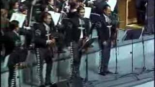 MARIACHI VARGAS DE TECALITLAN POPURRI VERACRUZANO [upl. by Kemme508]