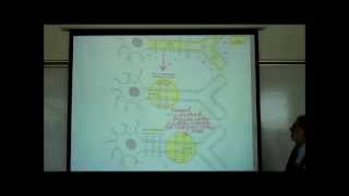 ACTION POTENTIALS IN NEUROPHYSIOLOGY by Professor Fink [upl. by Eelidnarb53]