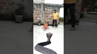 Nagin Snake vfx magic video  Cobra vfx viral video [upl. by Nirrak]