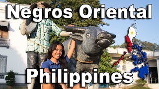 Visit Negros Oriental  Philippines [upl. by Esinereb]