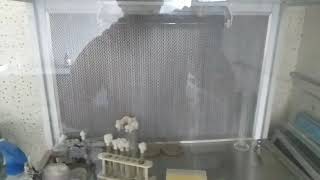 Laminar air flow  Working and principle of Laminar Air Flow Microbiology laboratory [upl. by Ylatan]