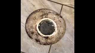 How to fix a broken toilet flange on a concrete floor [upl. by Ahearn]