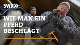 Wie man ein Pferd beschlägt  SWR Handwerkskunst [upl. by Oht]