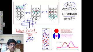 Size exclusion chromatography [upl. by Ihcur]