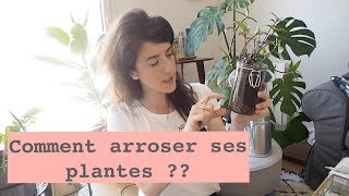 Arrosage Plantes dintérieur  Quand amp Comment les arroser [upl. by Yona751]