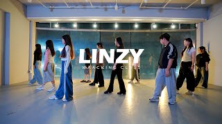 LINZY  Waacking Class  의정부 로우 댄스 학원 [upl. by Gerta]