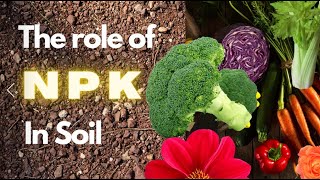 Role of NPK Nitrogen Phosphorus and Potassium in Soil [upl. by Enair]