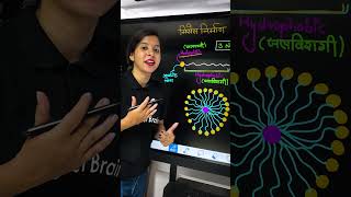 मिसेल निर्माण की क्रियाविधि  Mechanism of Micelle Formation🤔 shorts hindimedium [upl. by Arden]