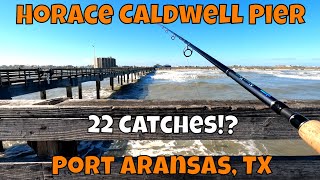 600 SUB SPECIAL Fishing In Texas D Horace Caldwell Pier Port Aransas TX [upl. by Warenne]