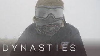 The Dynasties Crew Endures an Antarctic Storm  Dynasties Behind The Scenes  BBC Earth Explore [upl. by Marybella]