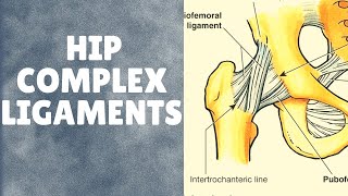 Ligaments of hip complex  With applied aspects [upl. by Metah23]