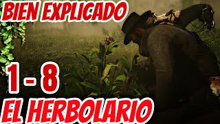 Herbolario del 1 al 8 RDR2 Bien explicado [upl. by Joelly]