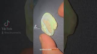 Opalized shell Cooper peedy [upl. by Daukas]