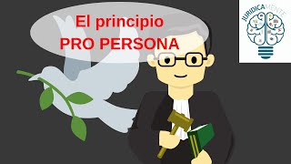 EL PRINCIPIO PRO PERSONA [upl. by Doomham514]