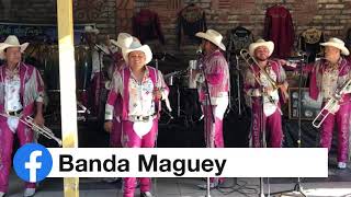 Banda Maguey  Como la Luna [upl. by Omura]