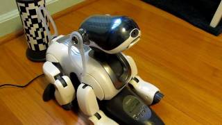 Cute and Smart Sony Robot Dog Aibo ERS7MP4 [upl. by Freeborn]