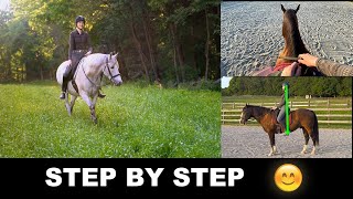 Best Horse Racing Handicapping Tutorial and Tips [upl. by Afirahs402]