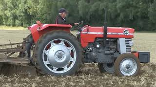 MASSEY FERGUSON 165 AND 135 TRACTORS CULTIVATING [upl. by Garreth261]